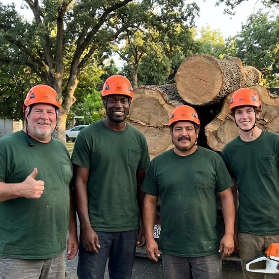 Q&T Services tree crew with a truck loaded with oak logs in Tucson